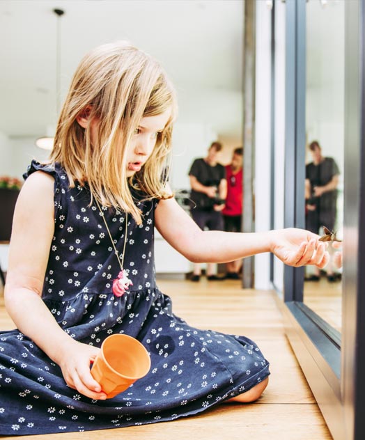 Внимание к природе